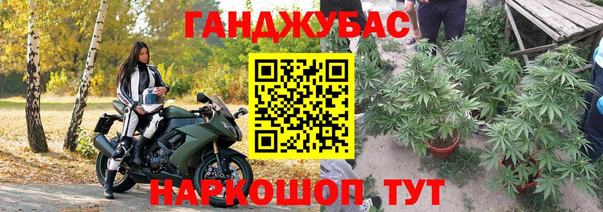 Бошки марихуана гибрид Кимовск